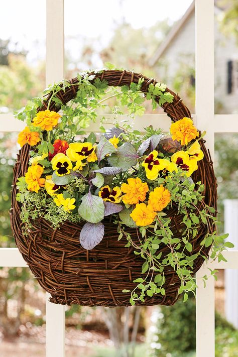 The Fragrant Flower Basket | Bring a seasonal splash of color to your entryway by mixing and matching eye-popping blooms with rustic grasses and foliage in your fall container gardens. Container gardens are a great way to enjoy seasonal splashes of color. For fall container gardening, mix eye-popping blooms with rustic grasses and foliage. Here, the Southern Living gardening editors share bright ideas for bringing the shades and tones of autumn to your home. Tabletop Topiary, Flower Garden Layouts, Mums In Pumpkins, Fall Container Gardens, Ornamental Kale, Ornamental Cabbage, Fall Containers, Garden Cakes, Garden Basket