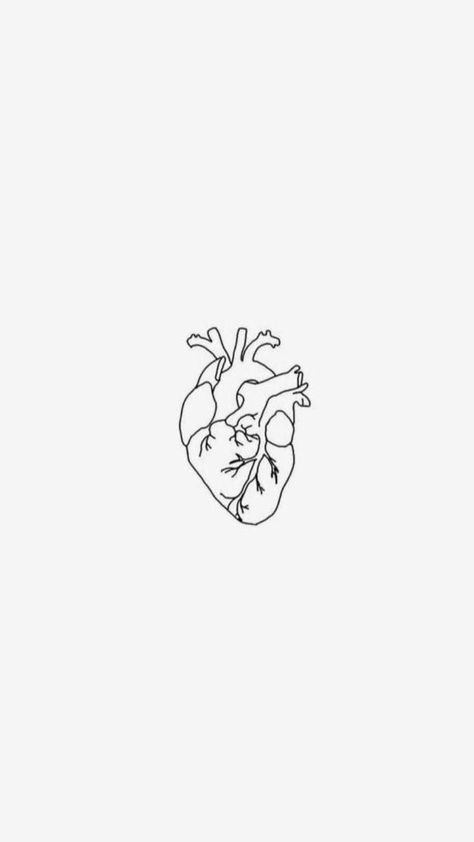 Tattoos For Surgeons, Real Heart Wallpaper Aesthetic, Simple Anatomical Heart Tattoo, Real Heart Aesthetic, Anatomical Heart Wallpaper, Human Heart Wallpaper, Anatomic Heart Tattoo, Real Heart Wallpaper, Heart Tattoo Aesthetic