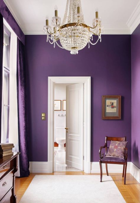 9 Rare Colors to Decorate the House #architecture #decor #CapeCoral #Fortmyers @AlmostHomeFL #HOME #SWFL #SWFloridaRealEstate Best Purple Wallpaper, Bedroom Office Design, Purple Room Ideas, Purple Themed Bedroom, Purple Party Ideas, Dark Purple Walls, Modern Classic Interior Design, Clothes Purple, Purple Clothes