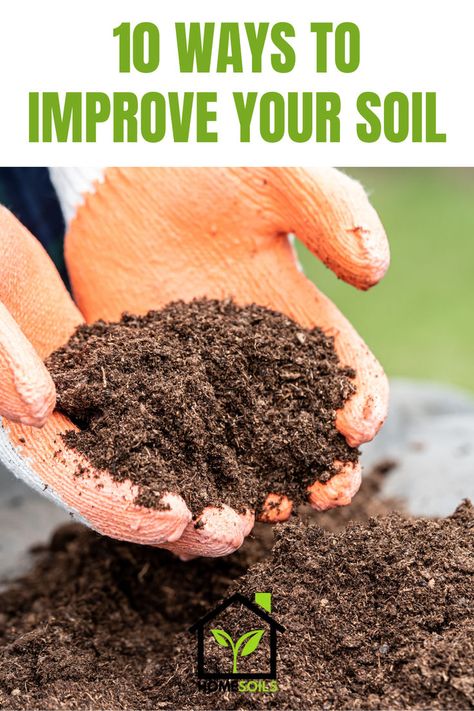 10 Ways To Improve Your Soil Nitrogen Fixing Plants, Regrow Vegetables, Growing Organic Vegetables, Growing Mint, Urban Homestead, Succulent Planter Diy, Planter Diy, Improve Soil Quality, Compost Tea