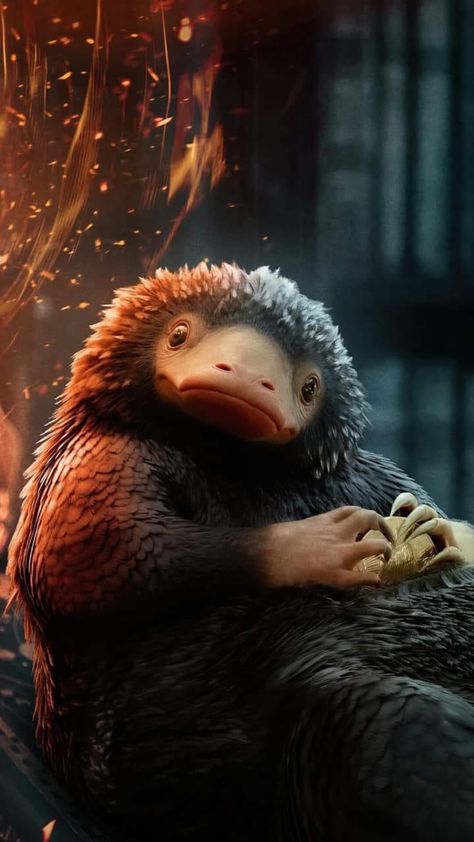 Niffler Wallpaper Fantastic Beasts, Fantastic Beasts Wallpaper Iphone, Niffler Harry Potter, Harry Potter Hypogriff, Niffler Wallpaper, Fantastic Beasts Animals, Fantastic Beasts Wallpaper, Niffler Art, Niffler Fantastic Beasts