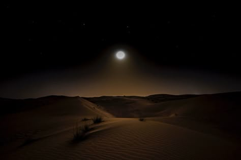 Desert at night Desert At Night Aesthetic, Night Desert Aesthetic, Desert Night Aesthetic, Dark Desert Aesthetic, Night Time Desert, Arabian Desert Aesthetic, Nevada Aesthetic, Desert Grunge, Desert At Night