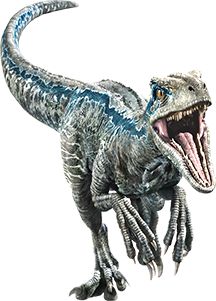 Blue | Jurassic Park wiki | FANDOM powered by Wikia Jurassic Park Raptor, Blue Jurassic World, Dinosaur Tattoos, Jurassic Park Movie, Fallen Kingdom, Dinosaur Images, Jurassic World Fallen Kingdom, Dinosaur Stickers, Jurassic World Dinosaurs