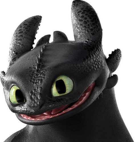 How To Train Your Dragon Toothless, Dragon Bedroom, Toothless Night Fury, The Octonauts, Wigan Athletic, Store For Kids, Toothless Dragon, Football Wall Art, Httyd Dragons