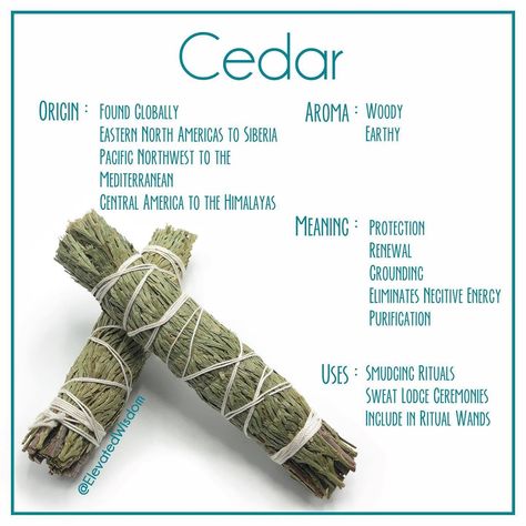 Cedar Smudge Sticks, Witch Salts, One Word Spells, Herb Meanings, Spell Jar Recipes, Cleansing Space, Smudge Sticks Diy, Palo Santo Smudging, Sage Sticks