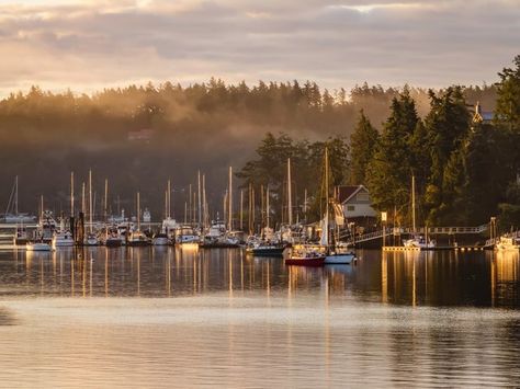 In the farthest northwest reaches of Washington is this beautiful little hamlet, with a tony marina at Roche Harbor that serves as a jumping-off point for cruising around small, uninhabited islands. Friday Harbor was once a major produce provider for the state, but the economy is centered around tourism these days—sea kayaking and orca whale-watching are the biggest draw. You’ll find a friendly welcome here, and year-round ferries from Anacortes, Washington, on the mainland, make it easy to v... Friday Harbor Washington, Alaska Fishing, Uninhabited Island, Friday Harbor, San Juan Islands, Sea Kayaking, Coastal Cities, Lake Placid, Conde Nast Traveler