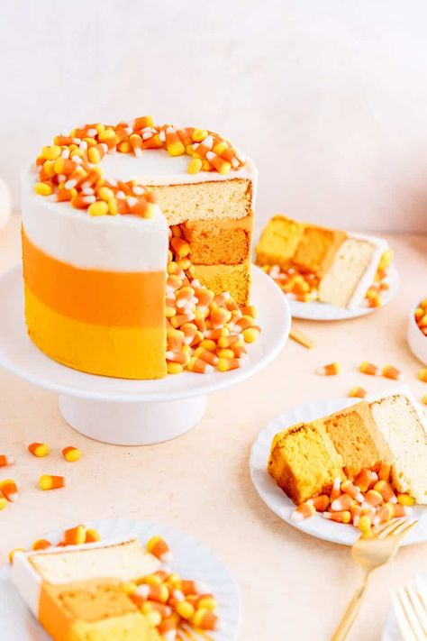 This Surprise Stuffed Candy Corn Cake uses a delicious and easy vanilla buttercream and cake, to hide a fun candy corn surprise inside! Corn Cake Recipe, Stuffed Cake, Candy Corn Cake, Candy Corn Recipe, Vanilla Sheet Cakes, Corn Cake, Moist Vanilla Cake, Easy Frosting, Gourmet Cakes