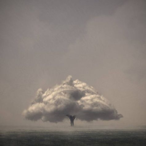 Cloud tree  By Luigi Quarta Vintage Nature Photography, Cloud Tree, Paper Clouds, Photography Inspiration Nature, Garden Artwork, Nature Photographs, Sky And Clouds, Abstract Photography, Fine Art Photo