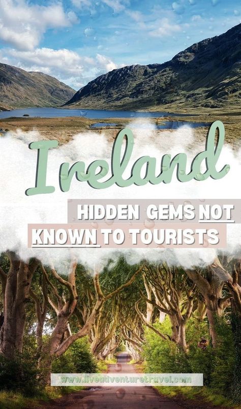 Unearth the best of Ireland's secret places and hidden gems on a road trip adventure in 2023. From the rugged Wild Atlantic Way to quaint villages, this Ireland travel itinerary guarantees a remarkable vacation filled with unique things to do. Don't miss our tips for spotting puffins along the cliffs! Things To Do In Ireland, Travelling Tips, Ireland Road Trip, Ireland Itinerary, Europe 2024, Ireland Travel Guide, Budget Friendly Travel, Wild Atlantic Way, Ireland Vacation