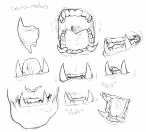 Orc Teeth, Mouth Shapes, Teeth Drawing, Mouth Drawing, Drawing Expressions, Anatomy Drawing, Arte Fantasy, Anatomy Art, Art Poses