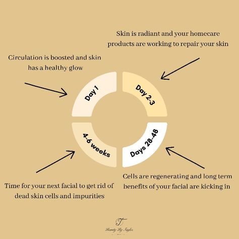 The life cycle of a facial. 💫 Regular facials are important for optimal skin health. Importance Of Facials, Spa Vibes, Skin Cycling, Esthetics Room, Cell Cycle, Life Cycle, Skin Tips, Healthy Glow, Life Cycles