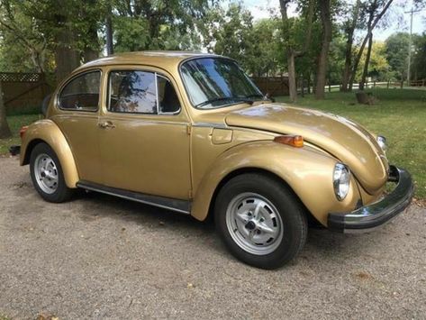 Volkswagen Super Beetle, Classic Volkswagen Beetle, Volkswagen Beetle Vintage, Vw Super Beetle, Super Beetle, Vw Engine, Classic Volkswagen, Volkswagen Bug, Vw Beetle Classic