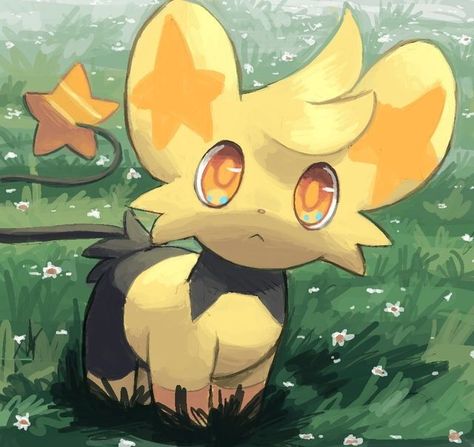 Shinx Shiny Pokemon, Pokémon