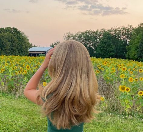 Long Face Framing Layers Medium Length Hair, End Layers Long Hair, Layers Unstyled, Honey Blonde Hair Dark Roots, Medium Long Haircut With Layers, Homey Blonde, Long Blended Layers, Warm Toned Blonde Hair, 70s Blonde