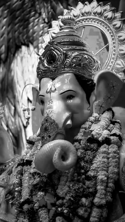 ganesh chaturthi | ganesh chaturthi video status festive #bappa2023 Sankastha Chaturthi, Ganesh Chaturthi Video, Ganesh Pic, Vintage Indian Fashion, Ganesh Chaturthi Photos, Ganesh Chaturthi Status, Photos Of Ganesha, Ganpati Bappa Photo, Ganesh Lord