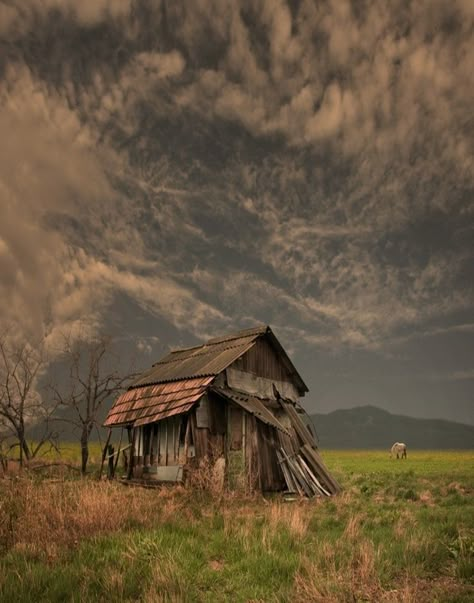 Forgotten Old Farm House Old Shack, Farmhouse Pictures, Barn Pictures, Old Abandoned Houses, Cloud Data, Barn Painting, Abandoned Homes, Abandoned Mansions, Old Farm Houses