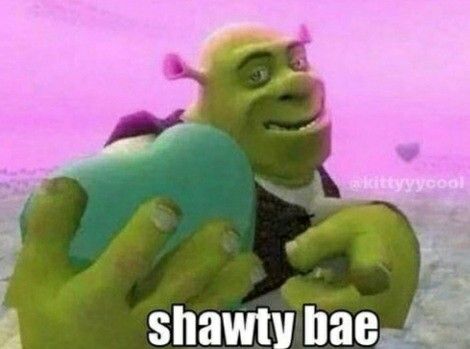 yes Bae Meme, Shawty Bae, Shrek, Honey, Memes, Funny