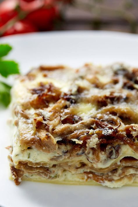 Oyster Mushroom Recipe, Vegetarian Eating, Mushroom Farm, Mushroom Lasagna, Vegan Entrees, Seasonal Vegetables, Oyster Recipes, Oyster Mushroom, Oyster Mushrooms