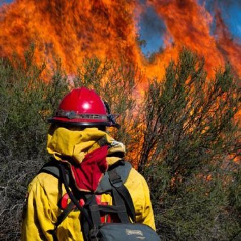 Fire Fighter Tattoos, Black Saturday, Arizona City, Wildland Firefighter, California Wildfires, The University Of Arizona, Indigenous Community, Historical Monuments, Fire Service