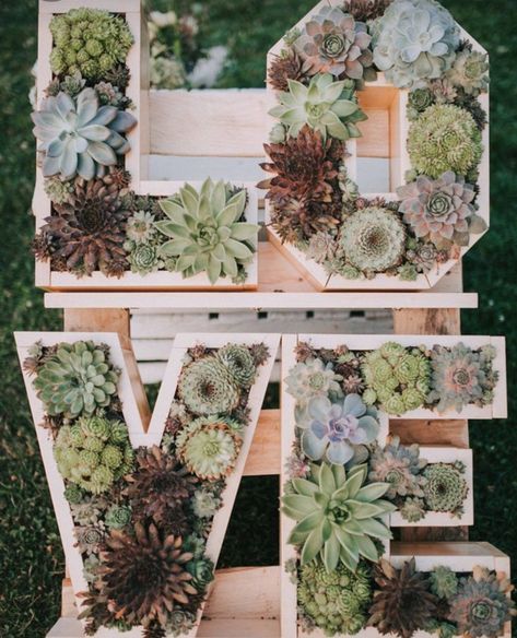 Succulent Wall Wedding, Succulents At Wedding, Succulent Letter Planter, Wedding Plant Decor, Succulent Wedding Ideas, Build Your Own Succulent Bar, Succulent Wedding Theme, Succulent Themed Wedding, Cactus Themed Wedding