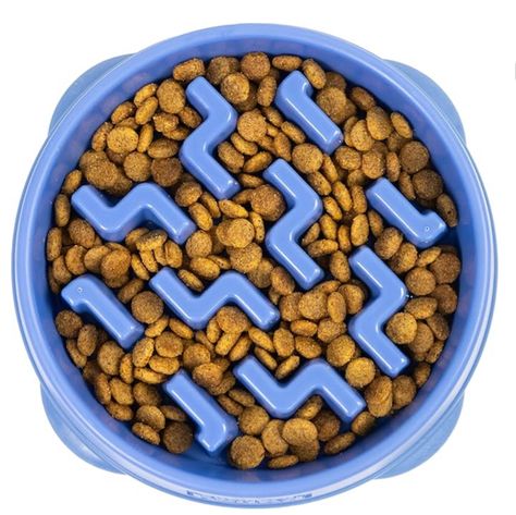 Outward Hound Slow Feeder Dog Bowl Slow Feeder Dog, Labyrinth Design, Maze Design, Poor Digestion, Slow Feeder, Wet Dog Food, Dog Help, Pet Care Tips, Dog Bowl