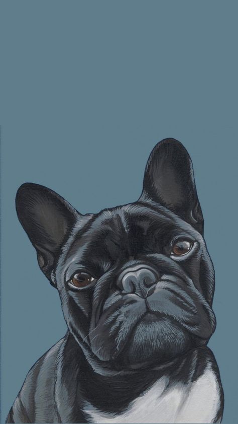 Frenchie Wallpaper, French Bulldog Wallpaper, Dog Illustration Art, French Bulldog Pictures, Wallpaper Preppy, Animals Wallpapers, Sky Pic, Cheetah Print Wallpaper, Iphone Wallpaper Preppy