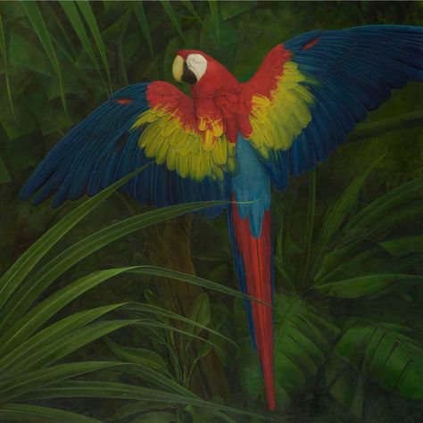 Thomas Jones, Scarlet Macaw, Butterworth, James Webb, A Level Art, Painting Class, On Board, Scarlet, Landscape Paintings