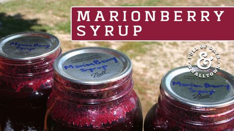 Marionberry syrup is perfect for topping waffles, dipping pork or flavoring kombucha and water kefir. Enjoy! Marionberry Jam, Gluten Free Sourdough Starter, Mary Berry Recipe, Home Canning Recipes, Gluten Free Sourdough, Canning Tips, Water Kefir, Homemade Syrup, Plant Based Breakfast