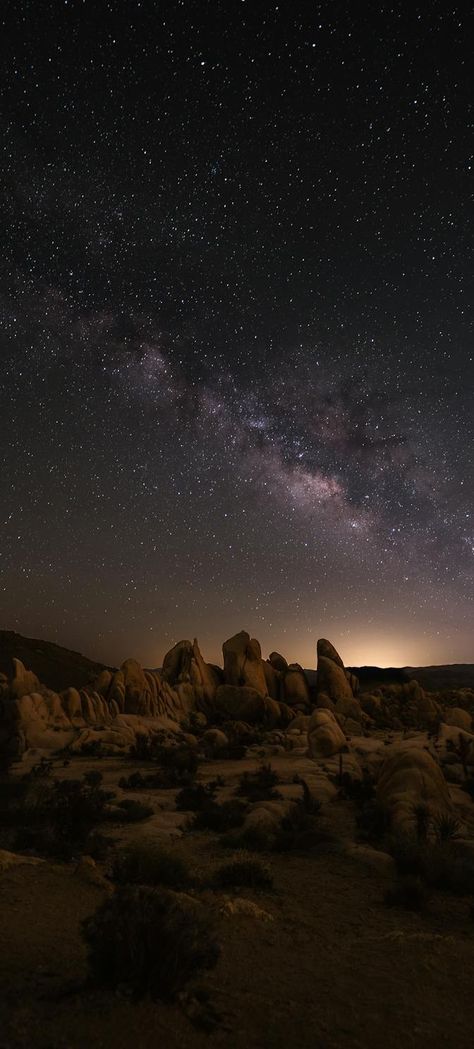 Joshua Tree National Park, California, USA Joshua Tree Stargazing, Joshua Tree Night, Joshua Tree National Park Photography, Joshua Tree Aesthetic, Joshua Tree Sunset, Zion National Park Photography, National Park Photography, Moon Artwork, Joshua Tree Wedding