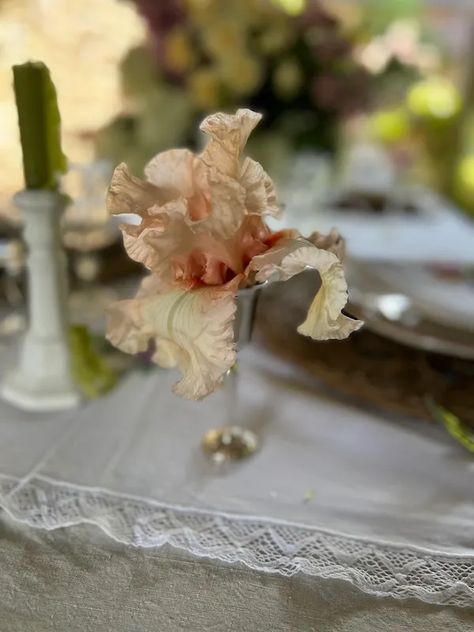 flowers in tiny vases on my table - MY FRENCH COUNTRY HOME Tiny Vases, Lunch For Two, Flower In Vase, Old Glass Bottles, My French Country Home, French Country Home, Flowers Arrangements, Table Centers, Small Bottles