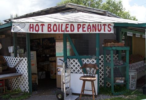 Florida Small Towns, Deep South Aesthetic, Small Town Florida, Rural Florida, Florida Gothic, America Core, Inverness Florida, Youtuber Dr, Boiled Peanuts