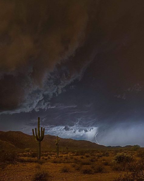 Desert Storm Aesthetic, Desert Gothic Aesthetic, Creepy Desert Aesthetic, Desert Horror Aesthetic, Winter In The Desert, Desert At Night Aesthetic, Desert Cryptid, Mojave Desert Aesthetic, Desert Witch Aesthetic