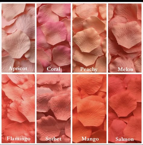 Apricot Salmon, Colour Shade Card, Fake Rose Petals, Coral Shades, Flower Girl Petals, Color Knowledge, Silk Rose Petals, Color Mixing Chart, Peach Colour