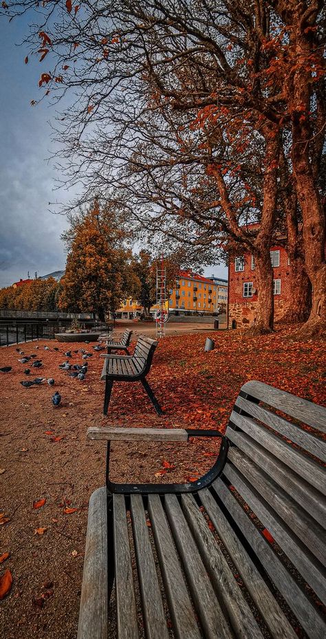 Autumn In Sweden, Leaves Falling Aesthetic, Autumn Landscape Wallpaper, Sweden Wallpaper, Sweden Autumn, Autumn Wallpaper Hd, Sweden Aesthetic, Aesthetic Leaves, Halloween Home Decor Ideas