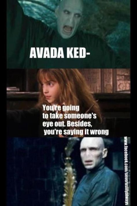 Voldemort Laugh, Harry Potter Voldemort, Glume Harry Potter, Funny Harry Potter Jokes, Harry And Hermione, Harry Potter Memes Hilarious, Harry Potter Puns, Potter Facts, Harry Potter Fanfiction