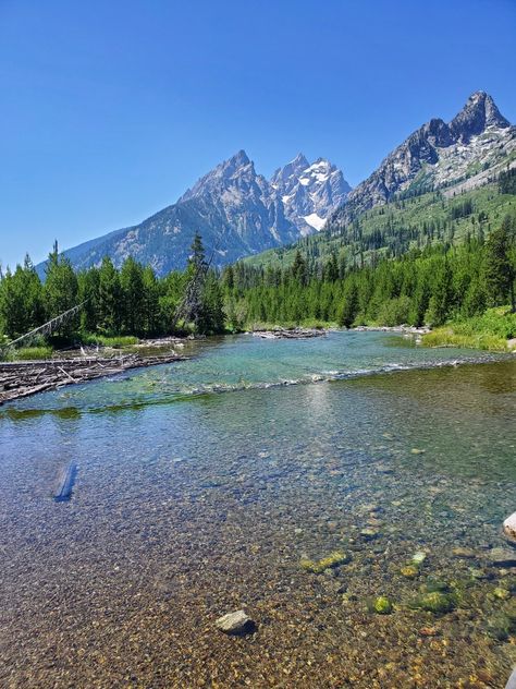 Alaskan Forest, Heart In Nature, Pretty Views, Lake Forest, Landscape Pictures, Green Space, Beautiful World, Beautiful Landscapes, Alaska