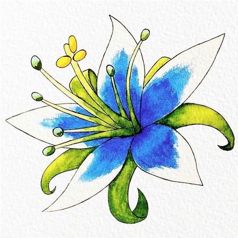 Breath Of The Wild Flowers, Silent Princess Flower, Silent Princess, Princess Watercolor, Zelda Drawing, Zelda Tattoo, Easy Flowers, Botw Zelda, Wild Tattoo