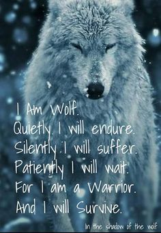 Lone Wolf Quotes, I Will Survive, I Am A Warrior, Wolf Quotes, Wolf Love, She Wolf, Wolf Spirit, Beautiful Wolves, Warrior Quotes