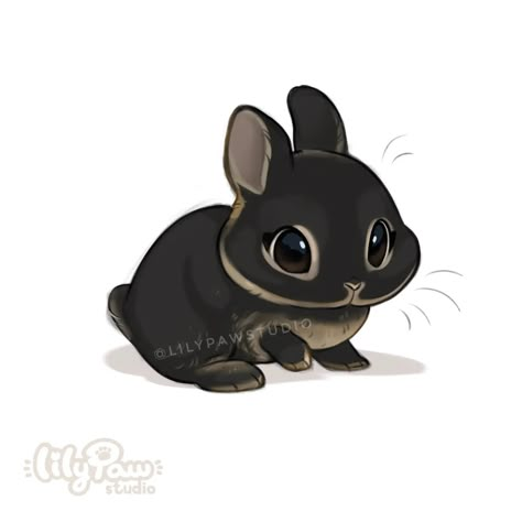 Lily Paw Art, Kawaii Bunny Drawing, Cute Anime Animals, Chibi Animals, Bunny Paws, Baby Animal Drawings, Bunny Drawing, Cute Small Animals, Cute Kawaii Animals