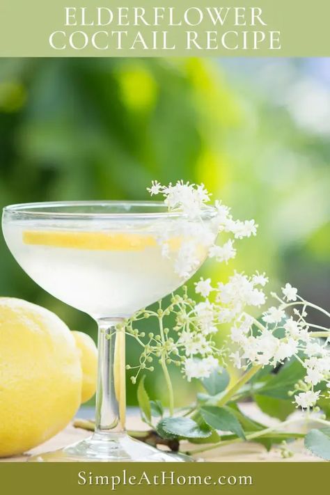 Refreshing Elderflower Cocktail: A Perfect Summer Delight • Simple At Home The Wedding Nutritionist, Low Cal Cocktail, Wedding Nutritionist, Elderflower Cocktail, Cordial Recipe, Tasty Cocktails, Elderflower Cordial, Healthy Cocktails, Perfect Summer Drink