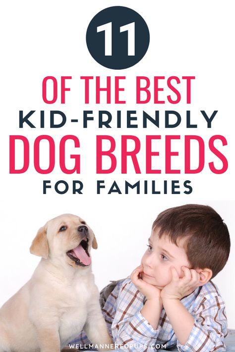 Dog Breeds For Families, Dogs For Kids, Best Dogs For Kids, Friendly Dog Breeds, Family Friendly Dogs, Polydactyl Cat, Best Dogs For Families, Puppy Biting, What Kind Of Dog