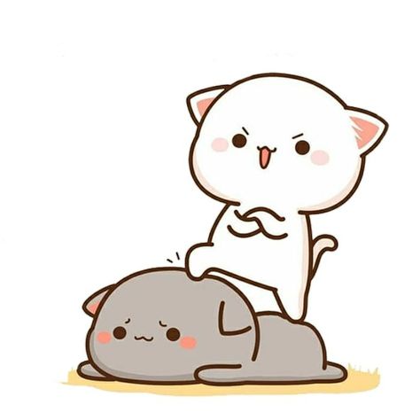 Mochi Cats, Cute Merch, Cute Mochi, Peach And Goma, Mochi Cat, Cats Cute, Mochi, Cute Wallpapers, Instagram Profile