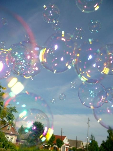 Soap Bubbles, Bubbles, Trees, Soap