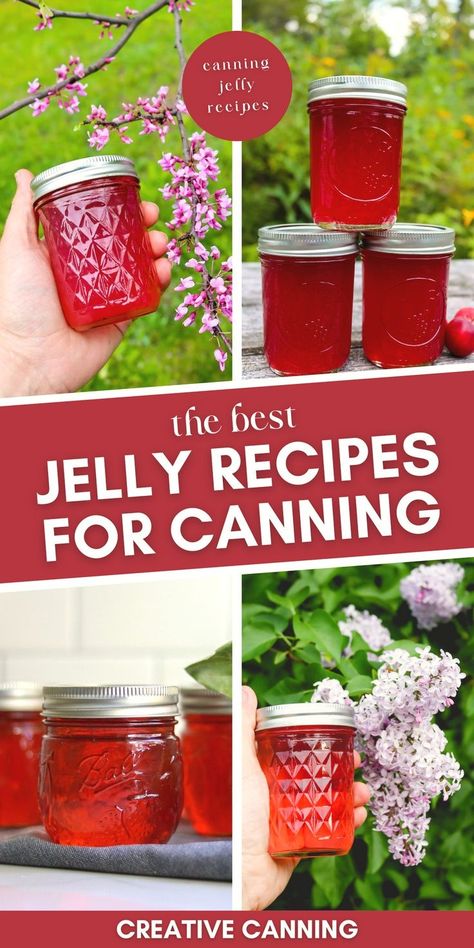 Gooseberry Jelly Recipe, Canning Jelly For Beginners, Fruit Jelly Recipes, Jelly Recipes For Canning, Redbud Jelly, Canning Jelly Recipes, Gooseberry Jelly, Raspberry Jelly Recipe, Canning Fruit Recipes