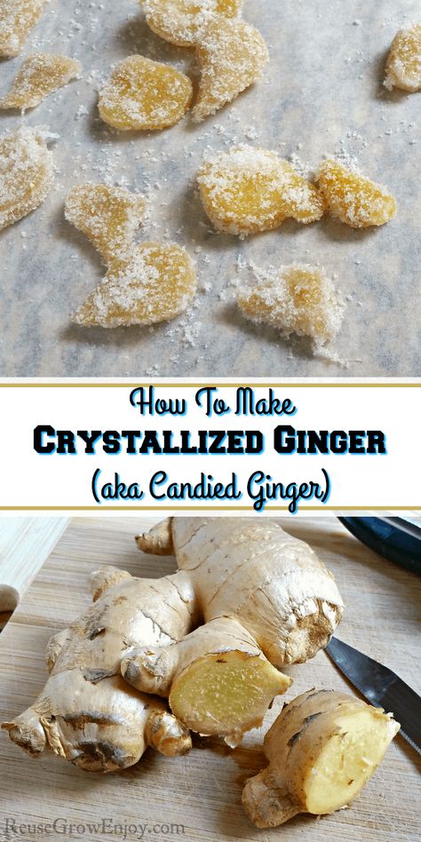 I so love crystallized ginger (aka Candied Ginger)! It makes a great treat as well as helps the tummy. Find out how to make your own right at home. How To Make Crystallized Ginger, How To Make Ginger Candy, Fresh Ginger Recipes Baking, Fresh Ginger Uses, Recipes Using Fresh Ginger, Fresh Ginger Recipes, Dehydrate Ginger, Crystallized Ginger Recipe, Crystalized Ginger Recipe