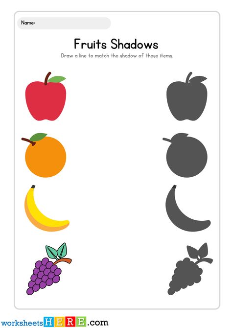 Fruits Shadows Matching Activity PDF Worksheets For Kids - WorksheetsHere.com Orange Shadow, Shadow Matching, Fruits Shadow Matching, Fruit Worksheets For Kindergarten, Fruits Activities For Preschool, Fruit Worksheets For Kids, Vegetable Shadow Matching Free Printable, Fruits Worksheets For Kids, Fruits Worksheets For Kindergarten