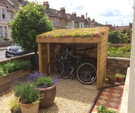 Bristol bike shelter with sedum blanket in the green roof planting area. Front garden of a Victorian terraced home. Garden Bike Storage, Green Roof Planting, Victorian Front Garden, Roof Plants, Outdoor Bike Storage, Bike Shelter, Sedum Roof, Simple Backyard, Front Gardens