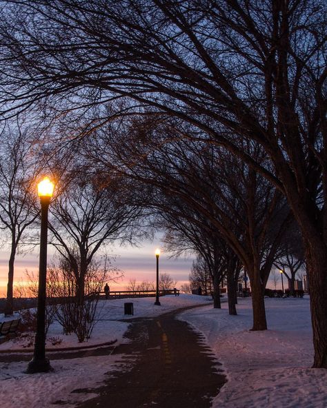 Monique Langevin-Connell on Instagram: “In Edmonton it's already time for winter walks...❄️ . . . . . . . . #yeg #Edmonton #edmontonrivervalley #edmontonliving #sunset #urbanyeg…” Edmonton Aesthetic, Winter Academia Aesthetic, Edmonton Winter, Winter Academia, Winter Town, Sunrise City, University Of Alberta, Winter Sunset, Edmonton Alberta