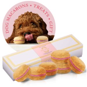 All-Natural Pet Macarons - Bonne et Filou Lavender Macarons, Gourmet Christmas, Vanilla Macarons, Dog Gift Box, Mint Yogurt, Spoiled Pets, Gourmet Dog Treats, Dog Cakes, Strawberry Yogurt