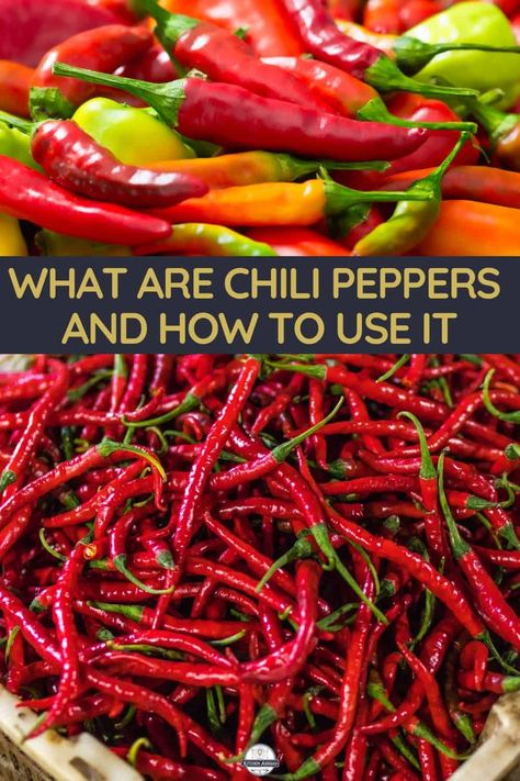 Peppers Gardening, Types Of Chili Peppers, How To Make Chilli, Chili Pepper Recipes, Chilli Peppers, Healthy Meals For One, Spice Up Your Life, Vegetable Storage, Chilli Pepper